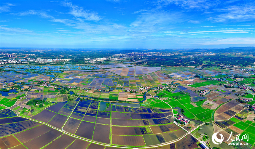 九江市永修縣馬口鎮一帶，蓄水翻耕后的高標準農田如同大自然的“調色盤”。人民網 朱海鵬攝