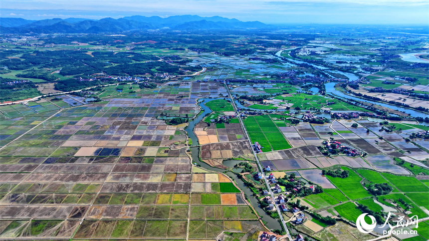 九江市永修縣馬口鎮一帶，蓄水翻耕后的高標準農田如同大自然的“調色盤”。人民網 朱海鵬攝