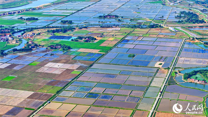 九江市永修縣馬口鎮一帶，蓄水翻耕后的高標準農田如同大自然的“調色盤”。人民網 朱海鵬攝