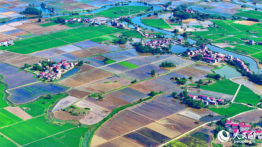 九江市永修縣馬口鎮一帶，蓄水翻耕后的高標準農田如同大自然的“調色盤”。人民網 朱海鵬攝