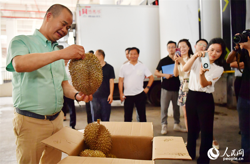 在南昌國家骨干冷鏈物流基地的冷庫前，業主展示冷鏈物流班列上卸載的榴蓮。人民網記者 時雨攝