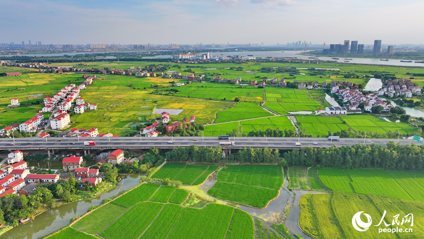 南昌縣南新鄉西江村一帶，車輛在繞城高速公路上疾馳，沿線鄉村風景怡人。人民網 朱海鵬攝