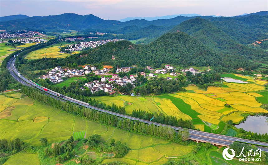 撫州市金溪縣秀谷鎮先鋒村，濟廣高速公路穿村而過，車輛往來疾馳。人民網 朱海鵬攝