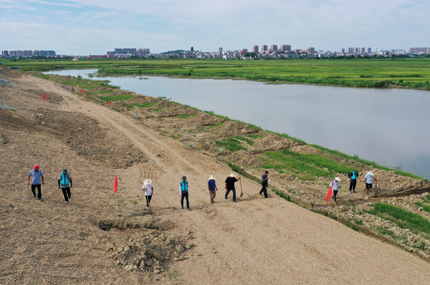 在上饒鄱陽縣角豐圩的搶險點，水利專家和當地干群進行拉網式巡堤。人民網記者 時雨攝
