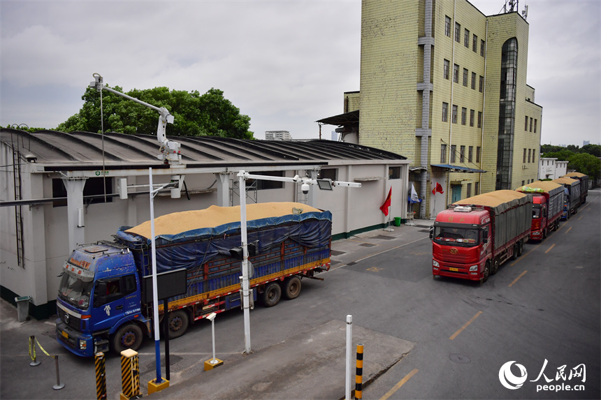 入庫前，正在進行扦檢的運糧車。人民網記者 時雨攝