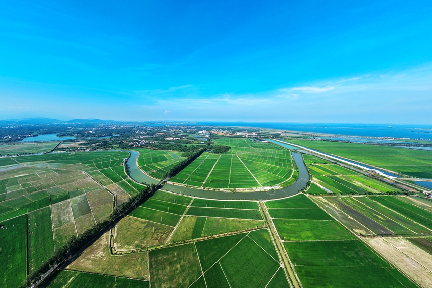 無人機俯瞰下的江西省共青城市青山如黛。潘成攝