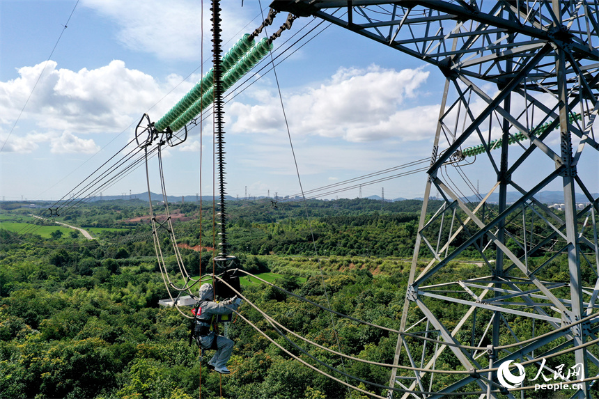 電網檢修工正在進行缺陷消除帶電作業。人民網記者 時雨攝