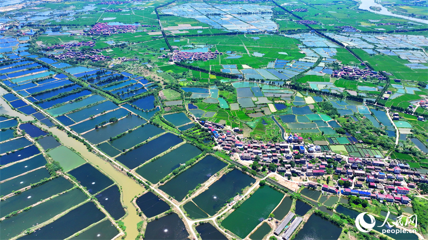 南昌縣武陽鎮朱坊村，鱗次櫛比的魚塘與鄉村房屋、公路、稻田相映相稱、風景怡人。人民網 朱海鵬攝