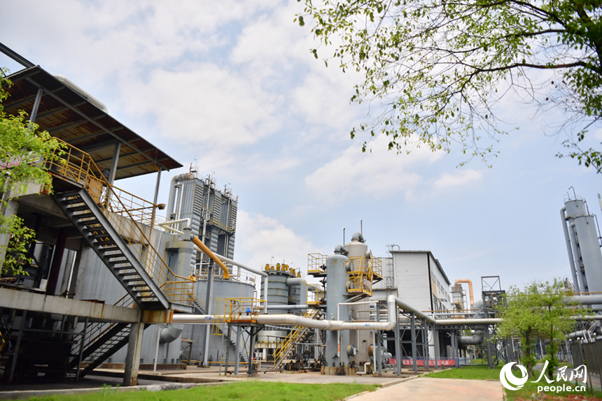 江西省豐城新高焦化生產廠區內綠意濃濃。人民網記者 時雨攝