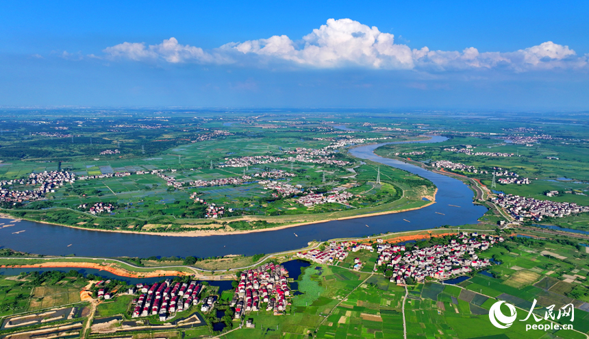 豐城市隍城鎮小嶺村一帶，一棟棟農家房屋與大美田園相映襯，夏日綠色生態美景怡人。人民網 朱海鵬攝