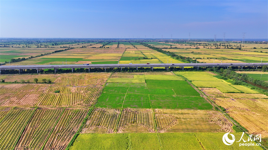 南昌市南昌縣涇口鄉，杭長高速公路上的車輛穿村而過，沿途田園廣袤、碧波萬頃，美景如畫。人民網 朱海鵬攝
