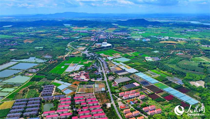 航拍南昌縣黃馬鄉鳳凰村，猶如一幅色彩斑斕的和美鄉村畫卷。人民網 朱海鵬攝