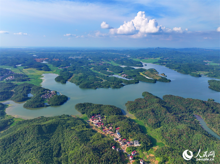 撫州市東鄉區孝崗鎮幸福濕地公園，綠水青山相得益彰。人民網 朱海鵬攝