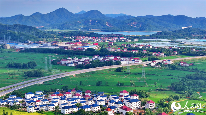 穿村而過的滬昆高鐵列車，與農房、青山、綠樹、田壟相映成景，鄉村和美如畫。人民網 朱海鵬攝