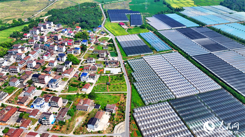 撫州市東臨新區七里崗鄉的一家農業科技有限公司產業園設施農業大棚林立。人民網 朱海鵬攝