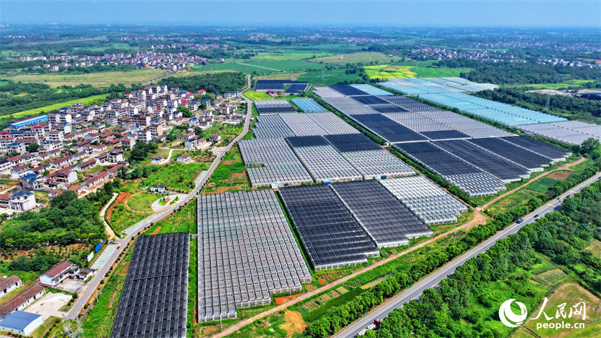 撫州市東臨新區七里崗鄉的一家農業科技有限公司產業園設施農業大棚林立。人民網 朱海鵬攝