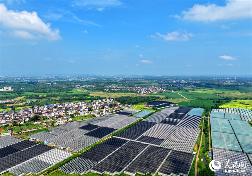 撫州市東臨新區七里崗鄉的一家農業科技有限公司產業園設施農業大棚林立。人民網 朱海鵬攝