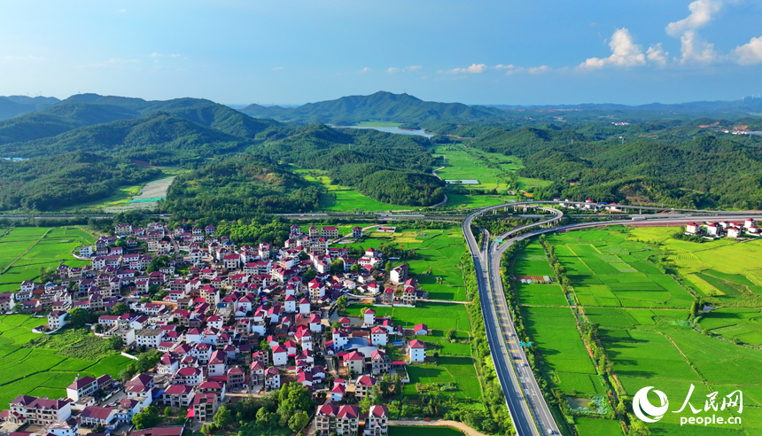撫州市東鄉區鄧家鄉古圩村，高速公路和高速鐵路穿村而過，與沿線鄉村農房、稻田相映成景。人民網 朱海鵬攝