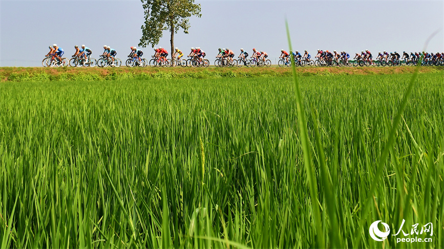 選手們在環鄱賽首站地永修縣騎行競速。環鄱賽組委會供圖