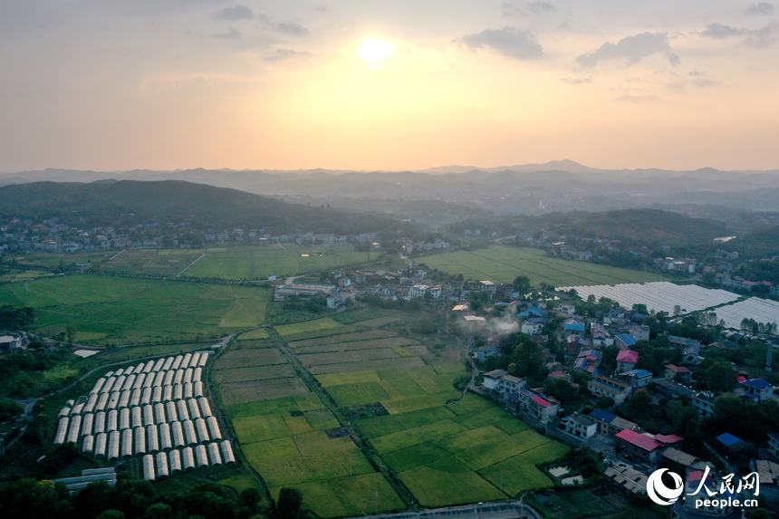 曾經的“煤陷區”經過礦區復綠、鄉村治理后綠意盎然，“煤村”蝶變成為“美村”。人民網記者 時雨攝