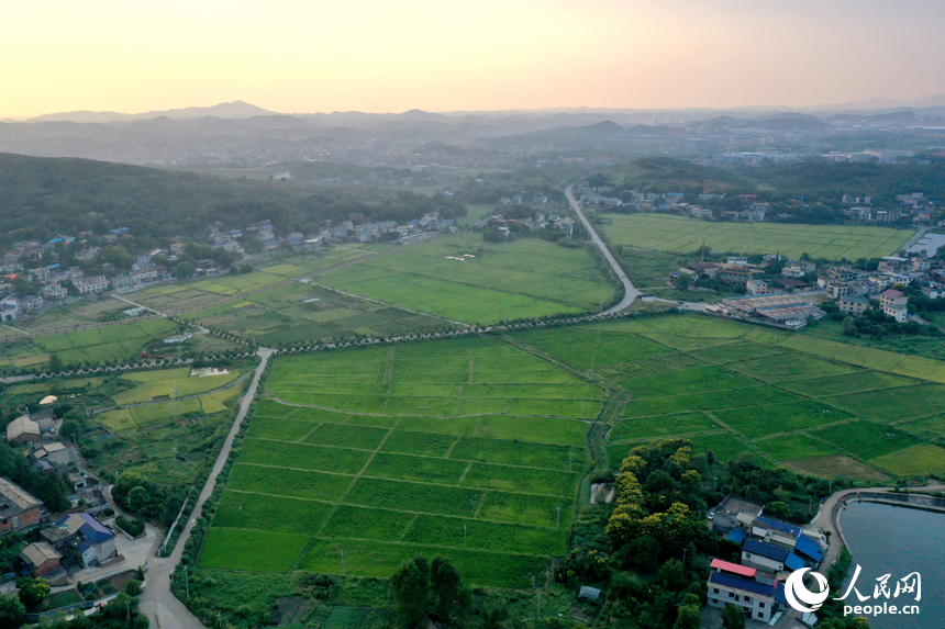 曾經的“煤陷區”經過礦區復綠、鄉村治理后綠意盎然，“煤村”蝶變成為“美村”。人民網記者 時雨攝
