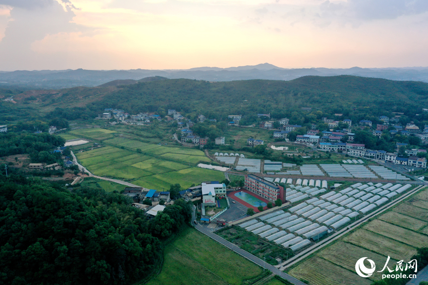 曾經的“煤陷區”經過礦區復綠、鄉村治理后綠意盎然，“煤村”蝶變成為“美村”。人民網記者 時雨攝