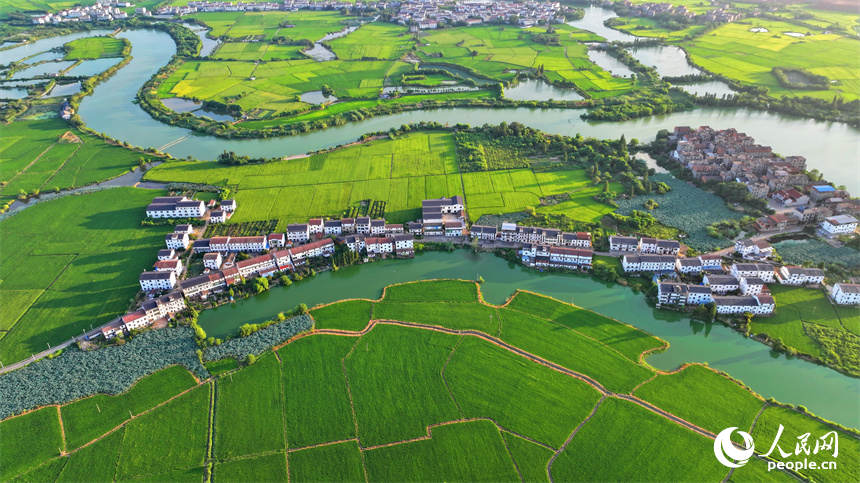 南昌縣富山鄉清湖村，蜿蜒的灌溉水渠與村莊農房、田園綠植相映成趣。人民網 朱海鵬攝
