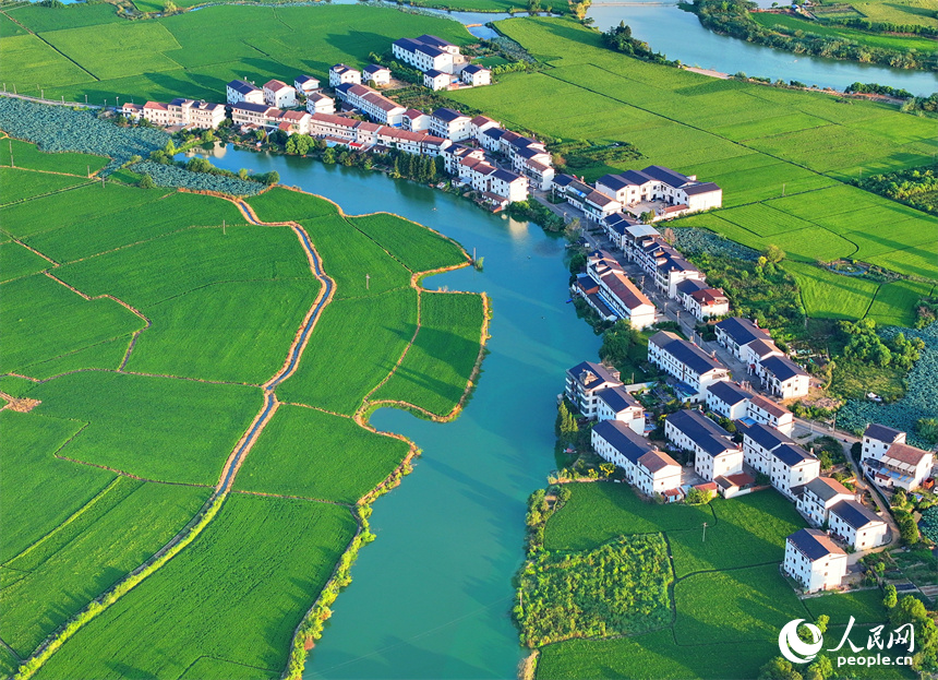 南昌縣富山鄉清湖村，蜿蜒的灌溉水渠與村莊農房、田園綠植相映成趣。人民網 朱海鵬攝