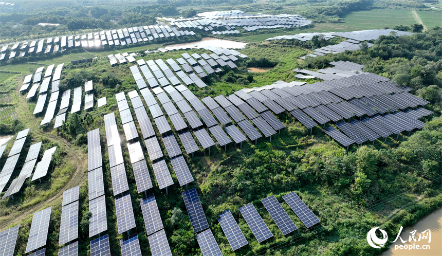 光伏板與周邊的村莊、綠色的稻田和遠山上的風力發電機相映成趣。鄭飛華攝