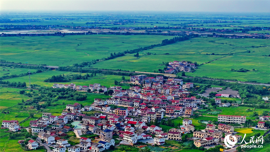 南昌市南昌縣涇口鄉，鱗次櫛比的農家房屋與廣袤田園相得益彰，風光旖旎。人民網 朱海鵬攝