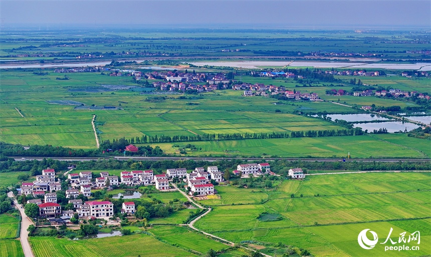 南昌市南昌縣涇口鄉，鱗次櫛比的農家房屋與廣袤田園相得益彰，風光旖旎。人民網 朱海鵬攝