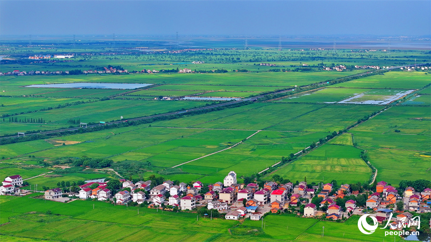 南昌市南昌縣涇口鄉，鱗次櫛比的農家房屋與廣袤田園相得益彰，風光旖旎。人民網 朱海鵬攝