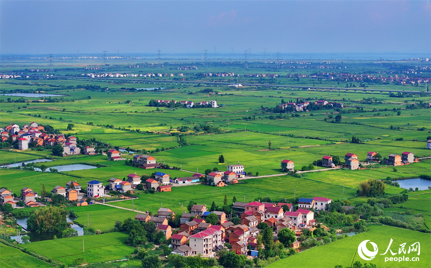 南昌市南昌縣涇口鄉，鱗次櫛比的農家房屋與廣袤田園相得益彰，風光旖旎。人民網 朱海鵬攝