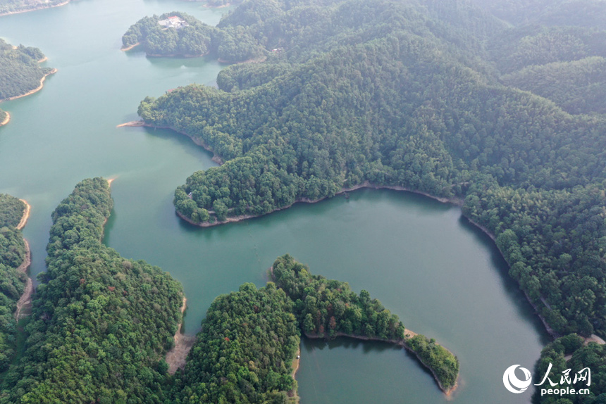 航拍鏡頭下的上栗楓林水庫山水相連、波光漣漪，宛若一幅山水畫展現在眼前。人民網記者 時雨攝