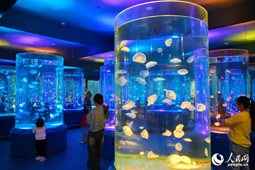 九江市湖口縣江豚灣的長江鄱陽湖水生生物保護基地，許多游客在水族館觀賞水生物。人民網 朱海鵬攝