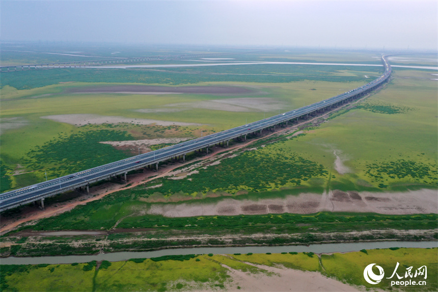 鄱陽湖的核心湖區溝壑縱橫、裸露的灘涂長滿綠草。人民網記者 時雨攝