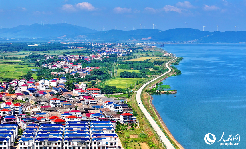 吉安市吉水縣楓江鎮上隴洲村，錯落有致的房屋與河流、綠樹、田野相映成景。人民網 朱海鵬攝