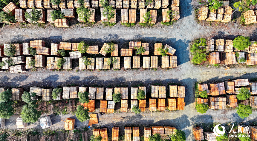 宜春市宜豐縣棠浦鎮村民利用晴好天氣的有利時機在晾曬板材半成品。人民網 朱海鵬攝