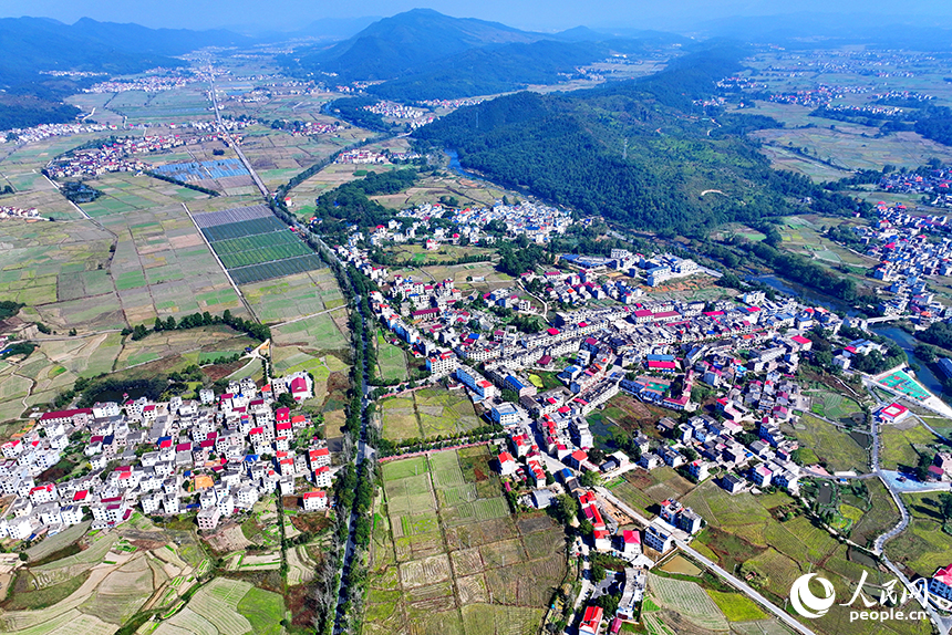 初冬時節的吉安市永新縣龍源口鎮黃陂洲村，綠樹、青山與農房、田野相映相襯。人民網 朱海鵬攝