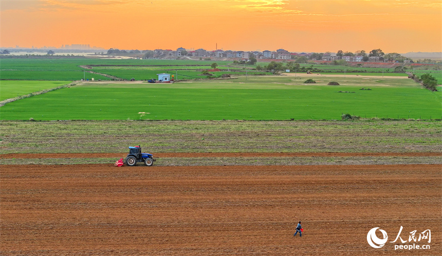 豐城市尚莊街道赤崗村村民在翻耕田地，拖拉機來回循環作業在大地上繪出漂亮的線條。人民網 朱海鵬攝