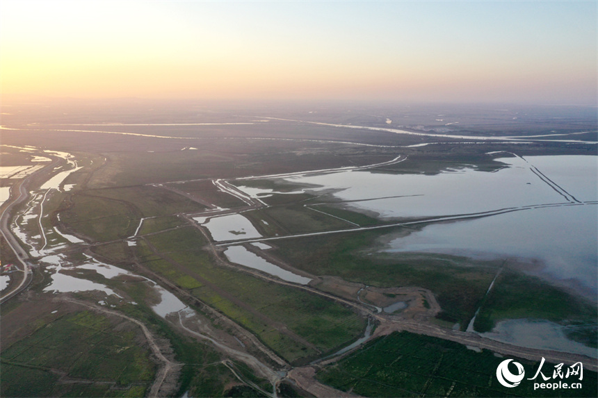 進入極枯水位的鄱陽湖溝渠縱橫，俯瞰之下，湖面成為一片大草原。人民網記者 時雨攝