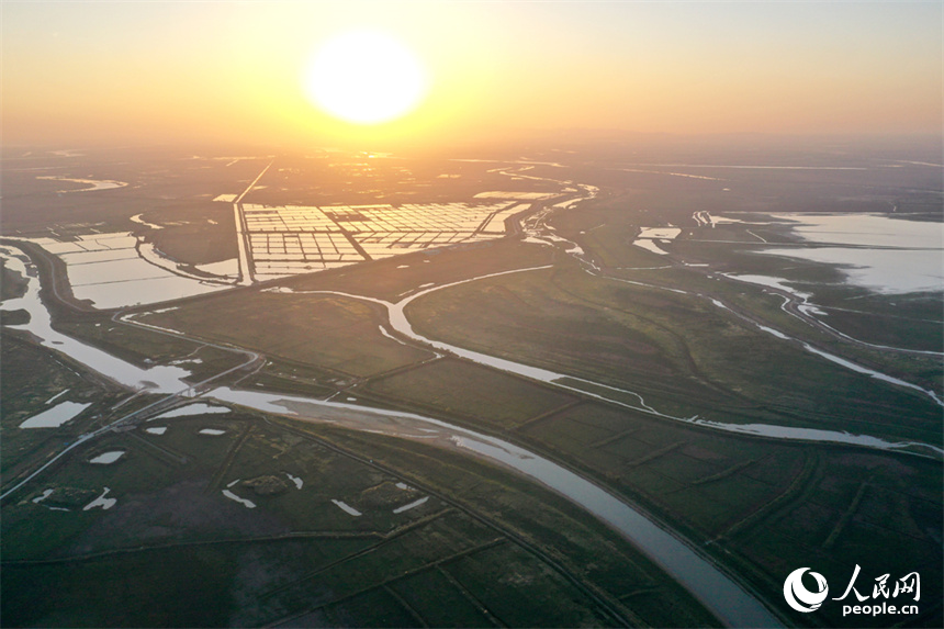 進入極枯水位的鄱陽湖溝渠縱橫，俯瞰之下，湖面成為一片大草原。人民網記者 時雨攝
