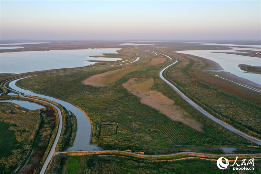 進入極枯水位的鄱陽湖溝渠縱橫，俯瞰之下，湖面成為一片大草原。人民網記者 時雨攝