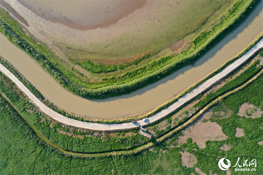 進入極枯水位的鄱陽湖溝渠縱橫，俯瞰之下，湖面成為一片大草原。人民網記者 時雨攝
