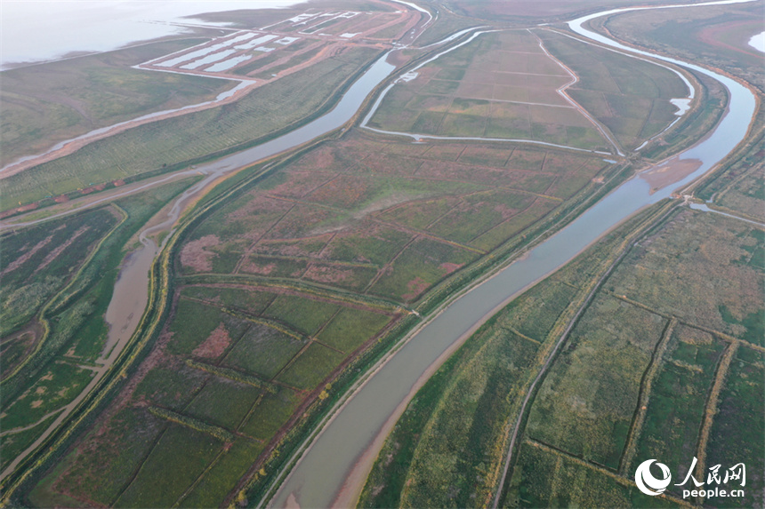 進入極枯水位的鄱陽湖溝渠縱橫，俯瞰之下，湖面成為一片大草原。人民網記者 時雨攝