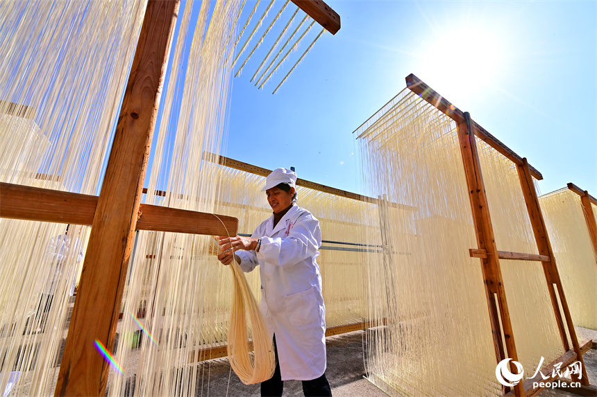 豐城市泉港鎮西岸村，許多農戶在家門口的空坪、曬場晾曬掛面，構成一道獨特的風景。人民網 朱海鵬攝