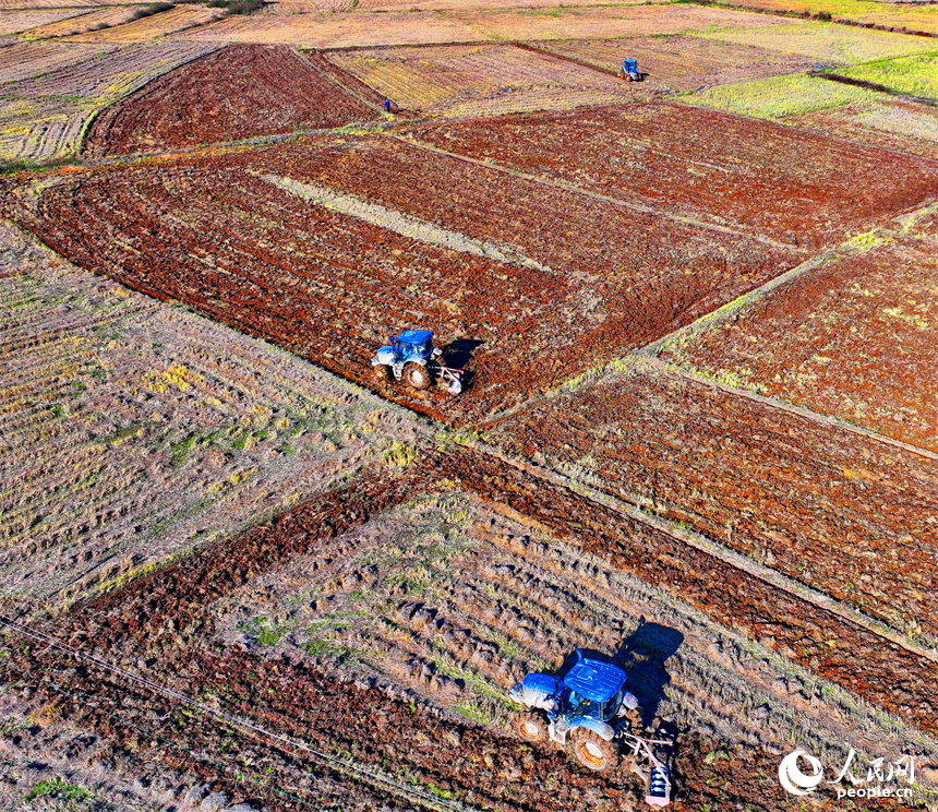 南昌市南昌縣涇口鄉東崗村，村民駕駛農機在田間耕整農田，為下一步播種油菜做好準備。人民網 朱海鵬攝
