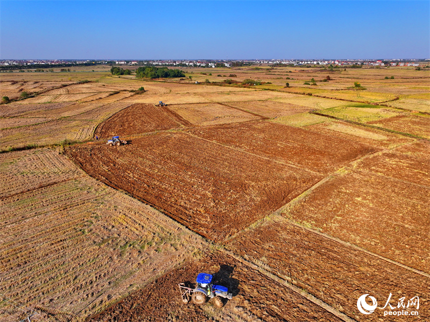 南昌市南昌縣涇口鄉東崗村，村民駕駛農機在田間耕整農田，為下一步播種油菜做好準備。人民網 朱海鵬攝