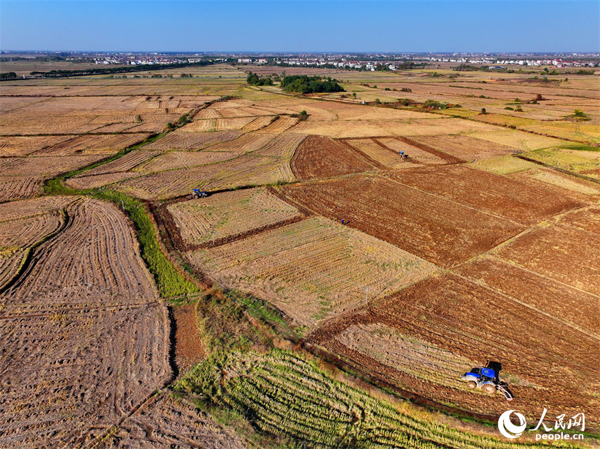 南昌市南昌縣涇口鄉東崗村，村民駕駛農機在田間耕整農田，為下一步播種油菜做好準備。人民網 朱海鵬攝