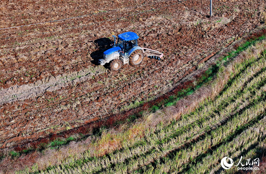 南昌市南昌縣涇口鄉東崗村，村民駕駛農機在田間耕整農田，為下一步播種油菜做好準備。人民網 朱海鵬攝